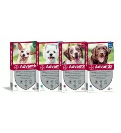 ADVANTIX 4 FIALETTE ANTIPARASSITARIO PER CANI