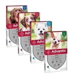 ADVANTIX 6 FIALETTE ANTIPARASSITARIO PER CANI -Negozio Di Animali advantix 6 fialette antiparassitario per cani 2