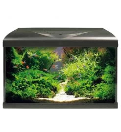 ACQUARIO AMTRA SYSTEM 60 LED COMPLETO