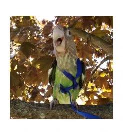 AVIATOR PETTORINA SMALL PER PAPPAGALLI BLUE -Negozio Di Animali aviator pettorina small per pappagalli blue 2