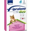 FIPRALONE DUO SPOT ON GATTO 4 PIPETTE -Negozio Di Animali fipralone duo spot on gatto 4 pipette