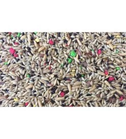 FLY RAGGIO DI SOLE CANARIA BISCUITS 25KG