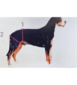 LEOPET PROFI DOG SUPPORTI PER GLI ARTI POSTERIORI -Negozio Di Animali leopet profi dog supporti per gli arti posteriori 3