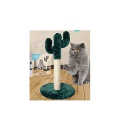 LEOPET TIRAGRAFFI CACTUS