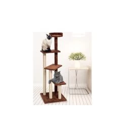 LEOPET TIRAGRAFFI MAIORI