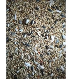 MANITOBA MISCUGLIO AUSTRALIANO 20KG