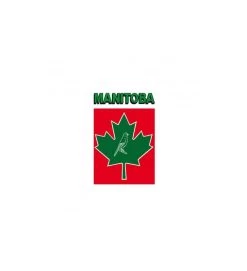 MISCELA MANITOBA CANARINI T4 20KG