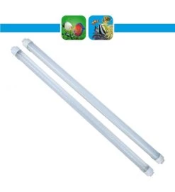 PRODAC LAMPADA LED T8 6500K OPACA