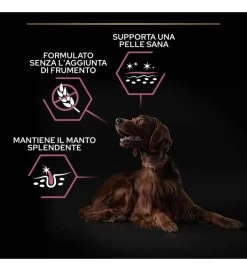 PURINA PRO PLAN PURINA ADULT ATHLETIC SALMONE LARGE SENSITIVE SKIN14KG