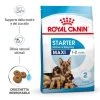 ROYAL CANIN MAXI STARTER MOTHER E BABYDOG 4KG -Negozio Di Animali royal canin maxi starter mother e babydog 4kg