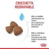 ROYAL CANIN MEDIUM STARTER MOTHER E BABYDOG 4KG -Negozio Di Animali royal canin medium starter mother e babydog 4kg