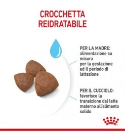 ROYAL CANIN MEDIUM STARTER MOTHER E BABYDOG 4KG