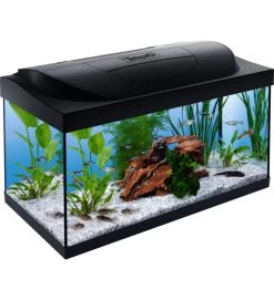 TETRA STARTER LINE LED NERO 54 LITRI