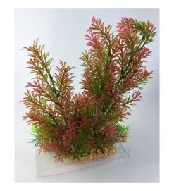 ZOLUX PLANTKIT IDRO 1 PIANTE ARTIFICIALI -Negozio Di Animali zolux plantkit idro 1 piante artificiali 2