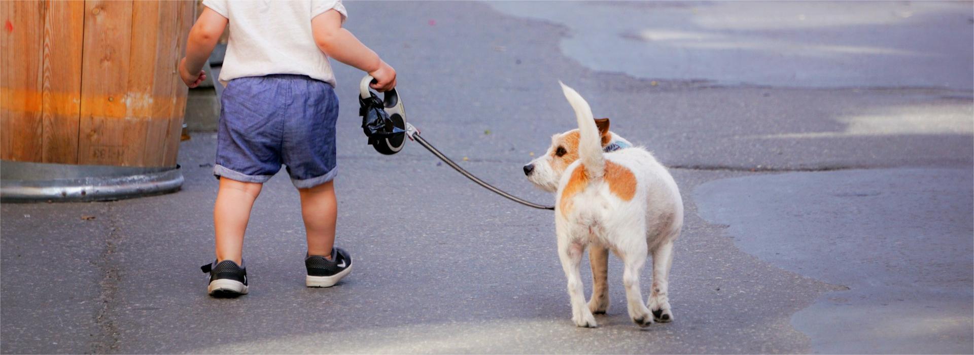 Negozio Di Animali -Negozio Di Animali robert eklund dv R483YAQs unsplash